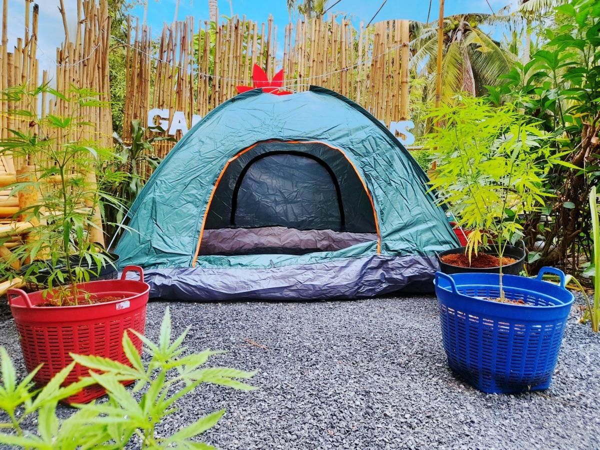 Готель Ganja Gardens Camping Ban Nua Екстер'єр фото